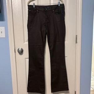 Banana Republic Factory Coated Brown Pants